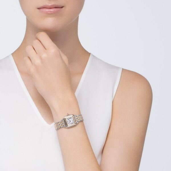 Cartier Panthre De Cartier Watch Small Model, Quartz Movement, Yellow Gold, Steel W2PN0006 - Image 2
