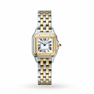 Cartier Panthre De Cartier Watch Small Model, Quartz Movement, Yellow Gold, Steel W2PN0006