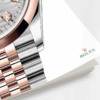 rolex datejust 36mm oystersteel and 18k everose gold ref23 126201 0039 8148 ihg7m.png