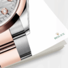 rolex datejust 36mm oystersteel and 18k everose gold ref23 126201 0040 4380 tq3cg.png