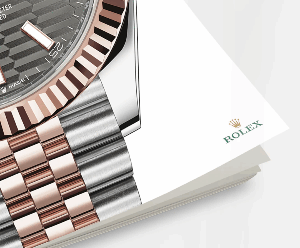 rolex datejust 41mm oystersteel and 18k everose gold ref23 126331 0020 6182 mwiql.png