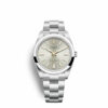 rolex oyster perpetual 41 oystersteel ref23 124300 0001 5169 n26ur.jpg