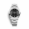 rolex oyster perpetual no date stainless steel 41mm ref23 124300 0002 6127 umrjg.jpg