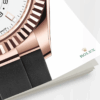 rolex sky dweller 42mm 18k everose gold oysterflex ref23 326235 0004 9553 8thew.png