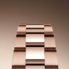 rolex sky dweller 42mm 18k everose gold ref23 336935 0002 7951 vogbv.jpg