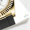 rolex sky dweller 42mm 18k yellow gold oysterflex ref23 326238 0006 6916 e7gyo.png