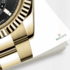 rolex sky dweller 42mm 18k yellow gold ref23 326938 0004 9984 ez8pq.png