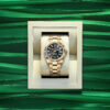 rolex sky dweller 42mm 18k yellow gold ref23 336938 0002 8476 x1jik.jpg