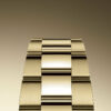 rolex sky dweller 42mm 18k yellow gold ref23 336938 0003 5505 zdzun.jpg