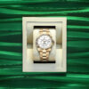 rolex sky dweller 42mm 18k yellow gold ref23 336938 0003 7065 lkmfl.jpg