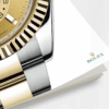 rolex sky dweller 42mm oystersteel and 18k yellow gold ref23 326933 0001 5354 t9mvp.png