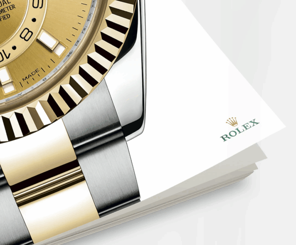 rolex sky dweller 42mm oystersteel and 18k yellow gold ref23 326933 0001 5354 t9mvp.png